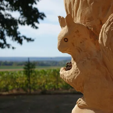 View, Pool And On The Champagne Vineyard * Saint-Thierry