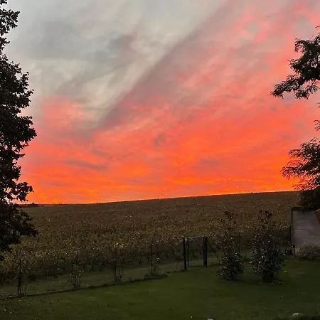 View, Pool And On The Champagne Vineyard * Saint-Thierry