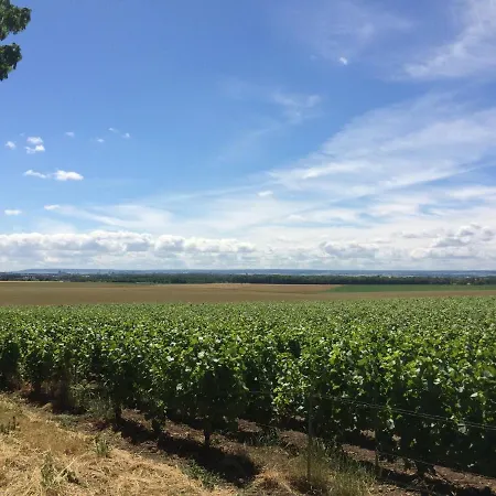 Lejlighed View, Pool And On The Champagne Vineyard *