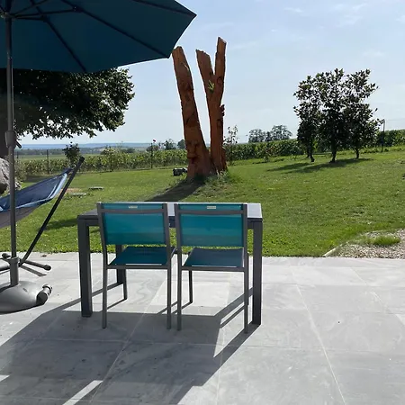 Appartement View, Pool And On The Champagne Vineyard Saint-Thierry