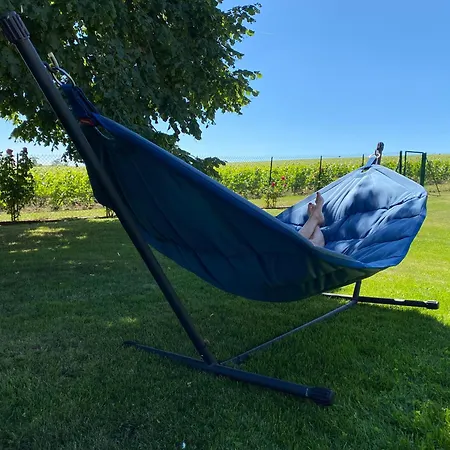 View, Pool And On The Champagne Vineyard *